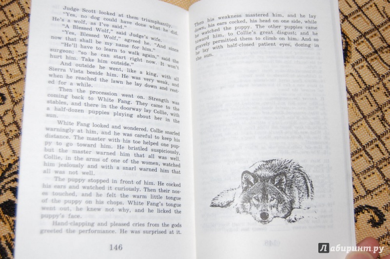 Иллюстрация 17 из 34 для Белый клык - Джек Лондон | Лабиринт - книги. Источник: evil_academic