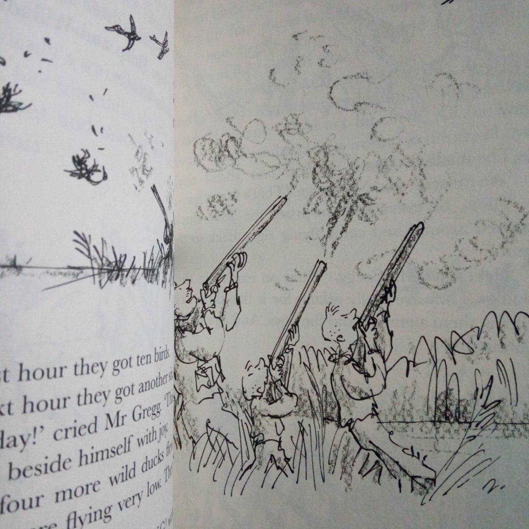 Иллюстрация 6 из 15 для The Magic Finger - Roald Dahl | Лабиринт - книги. Источник: bookchik
