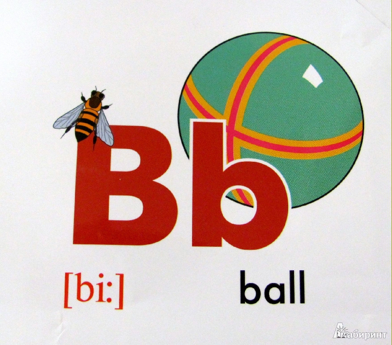 Б яз 6. Английская буква b. Буква b английская для детей. Слова на букву b на английском. Англисюйскик слова на букву b.