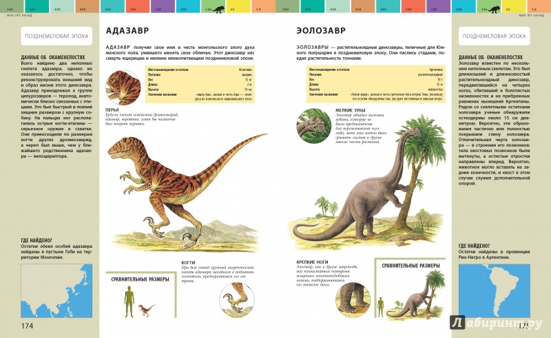 Реферат: История Земли. Доисторические животные - динозавры