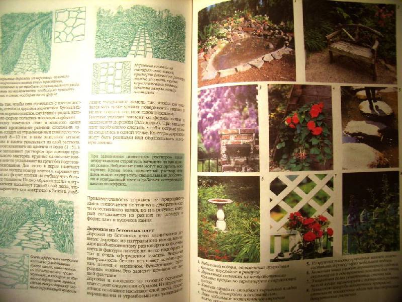 Иллюстрация 37 из 41 для Большая книга садовода и огородника - Октябрина Ганичкина | Лабиринт - книги. Источник: Алёнка