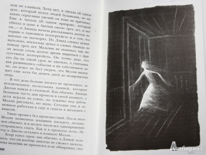 Иллюстрация 16 из 17 для Ворон, колдунья и старая лестница - Зильфа Снайдер | Лабиринт - книги. Источник: КНИЖНОЕ ДЕТСТВО
