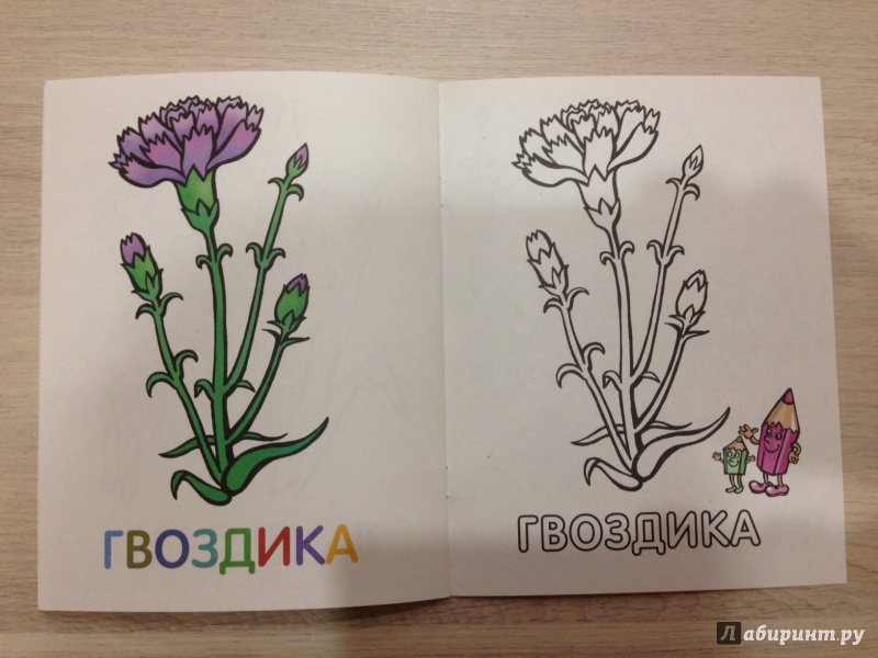 Иллюстрация 17 из 33 для Раскраска для малышей "Цветы" | Лабиринт - книги. Источник: М.  Наташа