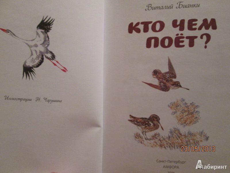 Иллюстрация 10 из 37 для Кто чем поет? - Виталий Бианки | Лабиринт - книги. Источник: Алонсо Кихано