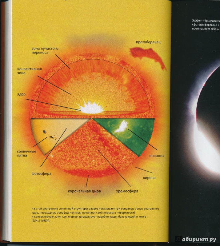 Иллюстрация 18 из 29 для В погоне за Солнцем - Ричард Коэн | Лабиринт - книги. Источник: Rishka Amiss