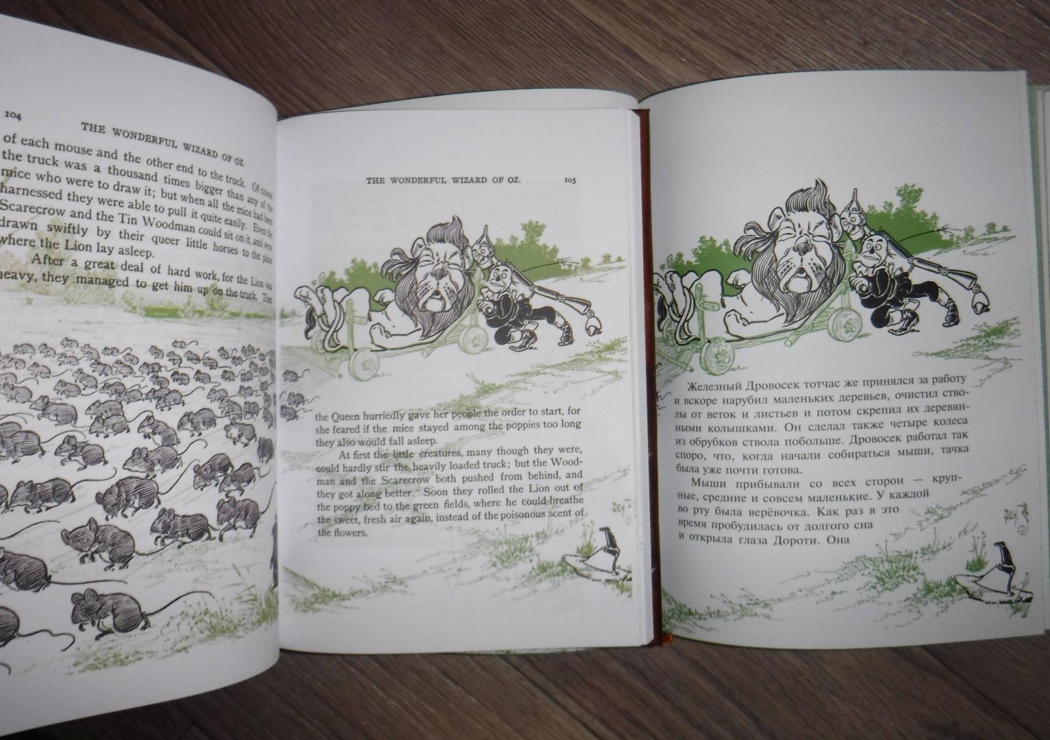 Иллюстрация 10 из 15 для The Wonderful Wizard of Oz - Лаймен Баум | Лабиринт - книги. Источник: Эля