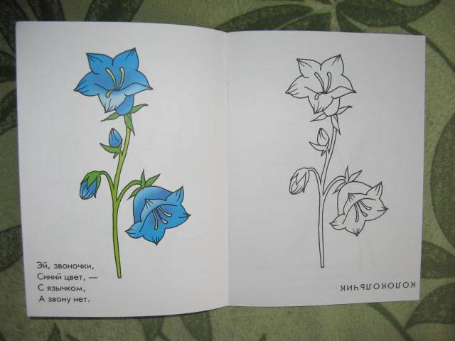 Иллюстрация 3 из 3 для Душистый букет. Раскраска для детей 4-5 лет | Лабиринт - книги. Источник: libe