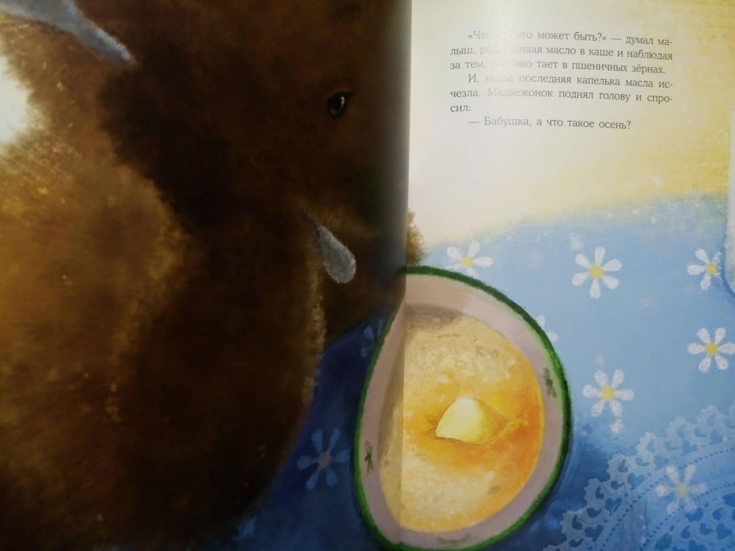 Иллюстрация 32 из 57 для Осень медвежонка - Ирина Зартайская | Лабиринт - книги. Источник: Лабиринт