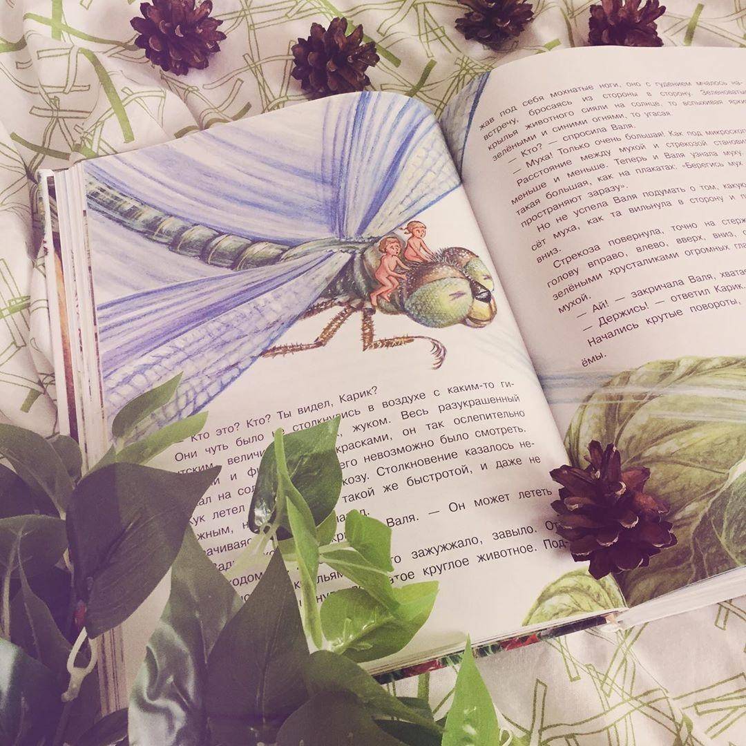 Иллюстрация 93 из 95 для Необыкновенные приключения Карика и Вали - Ян Ларри | Лабиринт - книги. Источник: Отзывы читателей