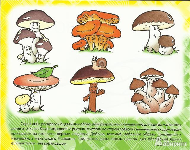 Иллюстрация 2 из 15 для Забавные грибы | Лабиринт - книги. Источник: С.  Надежда