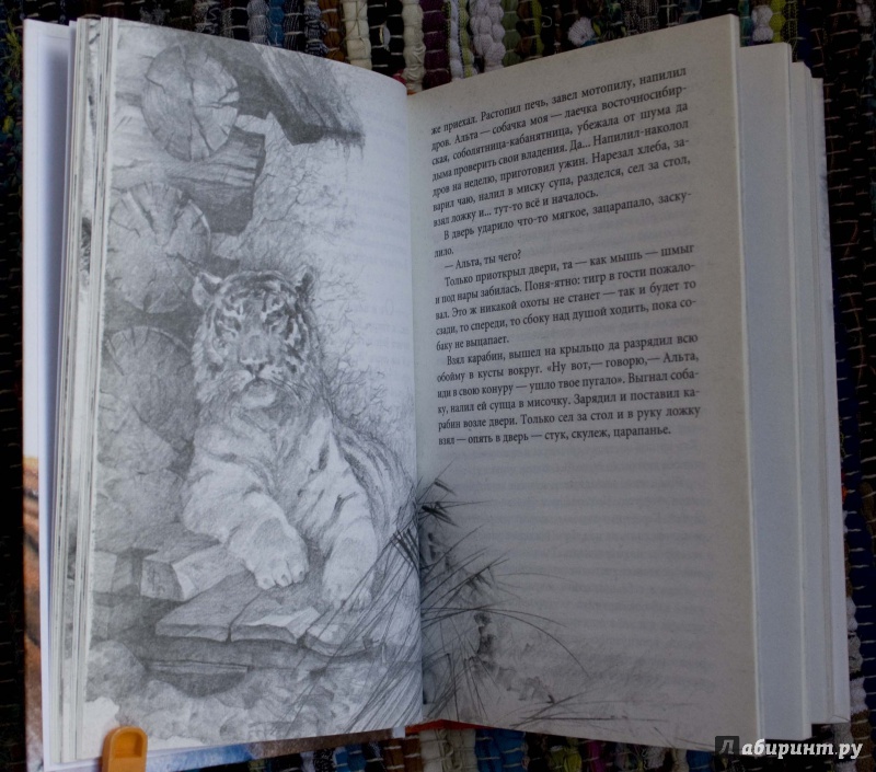 Иллюстрация 22 из 29 для Под знаком тигра - Олег Вороной | Лабиринт - книги. Источник: Galinka_m