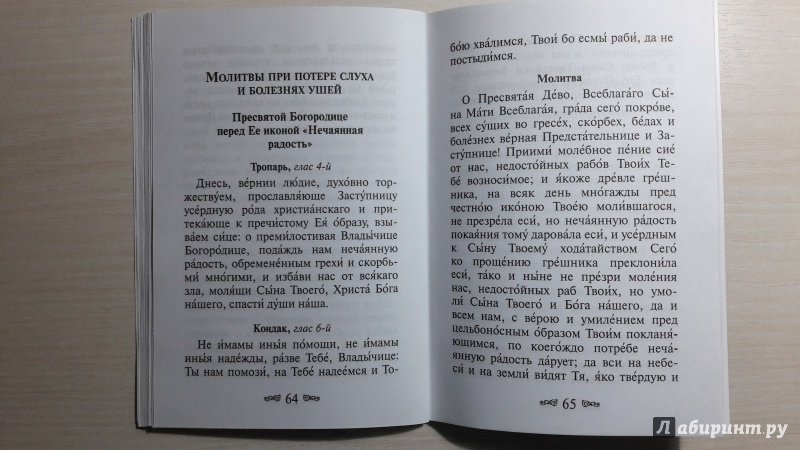 Иллюстрация 9 из 11 для Молитвы в телесных недугах | Лабиринт - книги. Источник: Елена  Е.