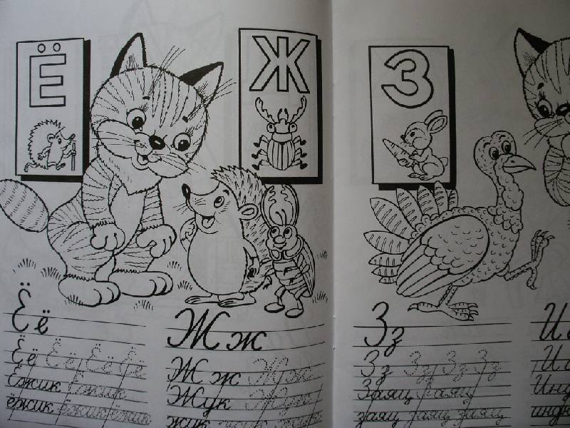 Иллюстрация 1 из 3 для Кошкин алфавит | Лабиринт - книги. Источник: Tiger.