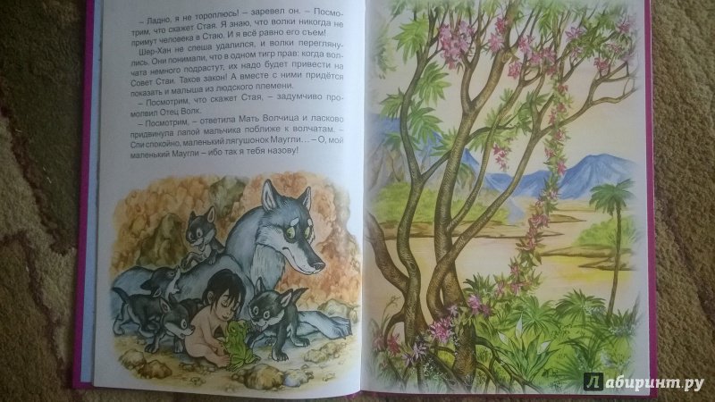 Иллюстрация 10 из 24 для Маугли - Редьярд Киплинг | Лабиринт - книги. Источник: Янкович  Янина