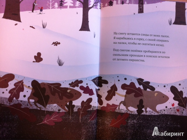 Иллюстрация 29 из 45 для На снегу и под снегом - Кейт Месснер | Лабиринт - книги. Источник: Исаев