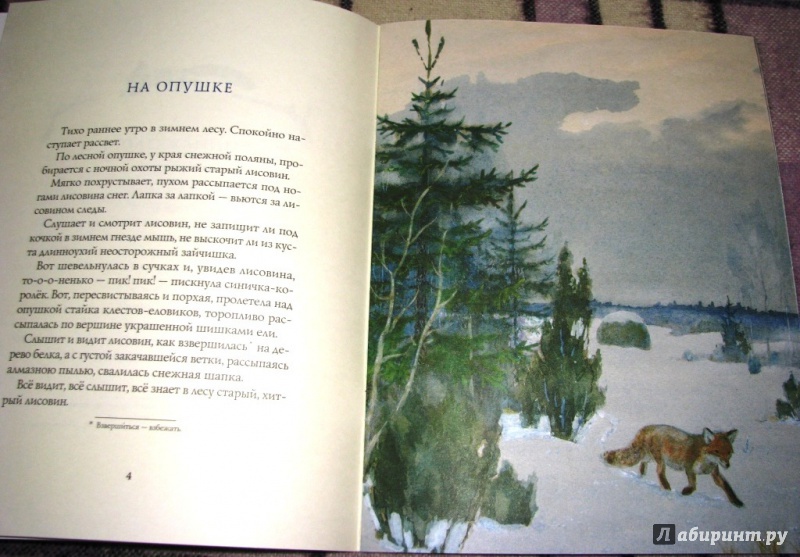 Иллюстрация 25 из 64 для Зима в лесу - Иван Соколов-Микитов | Лабиринт - книги. Источник: Бог в помощь