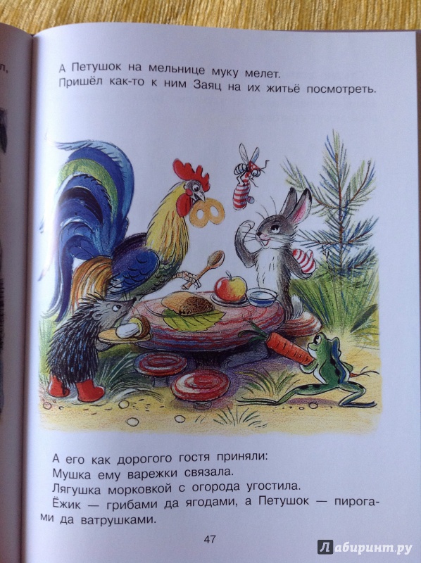 Иллюстрация 8 из 18 для Сказки и картинки - Владимир Сутеев | Лабиринт - книги. Источник: Гайда  Оксана