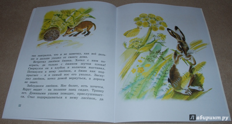 Иллюстрация 9 из 34 для Как лиса в лесу живёт - Вера Чаплина | Лабиринт - книги. Источник: Книжный кот