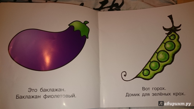 Иллюстрация 4 из 17 для Овощи. Для детей от 1-го года | Лабиринт - книги. Источник: Зацепилова  Жанна