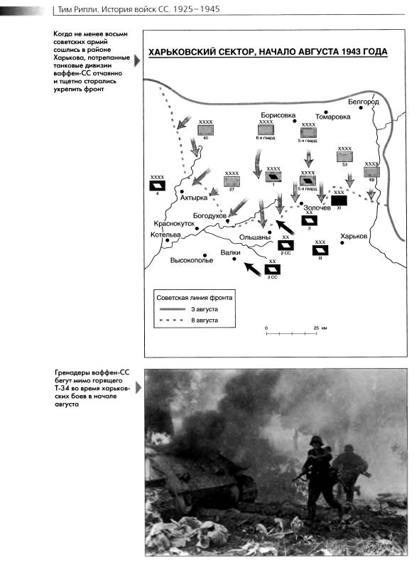 Иллюстрация 26 из 38 для История войск СС. 1925-1945 - Тим Рипли | Лабиринт - книги. Источник: Joker