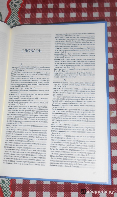 Иллюстрация 7 из 12 для Библия на русском и английском языках | Лабиринт - книги. Источник: Караман  Екатерина