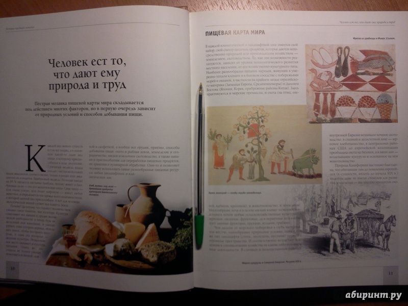 Иллюстрация 2 из 44 для Кулинарные традиции мира | Лабиринт - книги. Источник: RoMamka