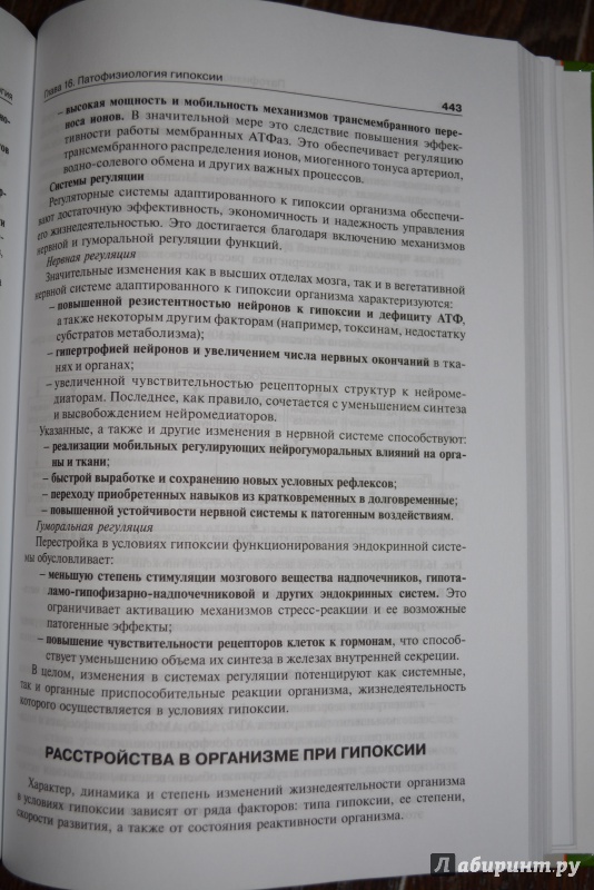 Иллюстрация 7 из 27 для Патофизиология. Учебник. В 2-х томах. Том 2 - Петр Литвицкий | Лабиринт - книги. Источник: ВраЧиталла