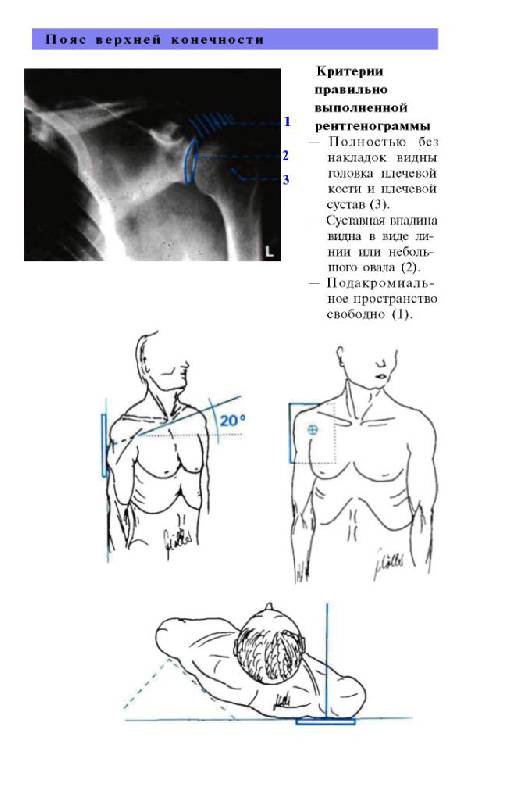 Иллюстрация 25 из 29 для Атлас рентгенологических укладок - Меллер, Райф | Лабиринт - книги. Источник: Юта