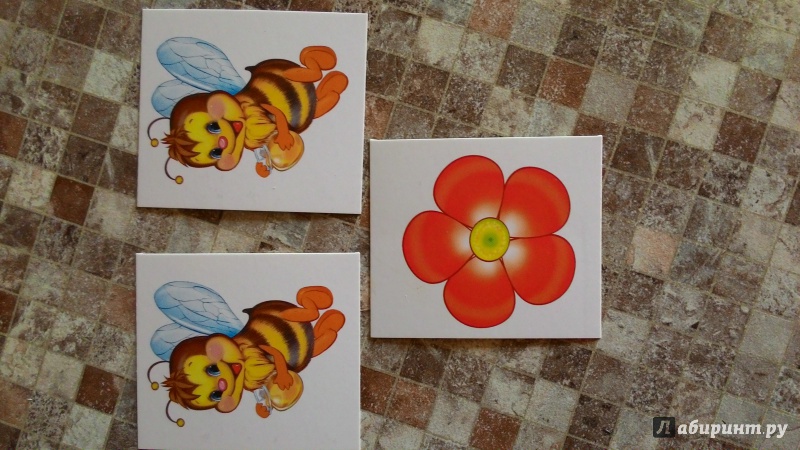 Иллюстрация 5 из 7 для Счетный материал (набор из 20 карточек) Пчелки, цветки | Лабиринт - книги. Источник: Алгушаева  Анастасия Владимировна