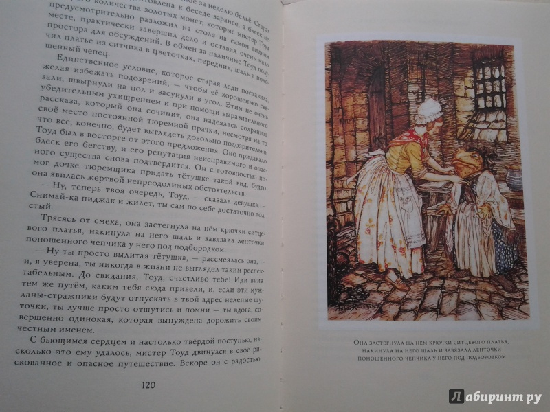 Иллюстрация 33 из 54 для Ветер в ивах - Кеннет Грэм | Лабиринт - книги. Источник: Olga