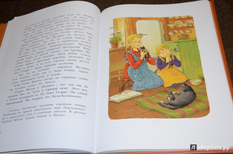 Иллюстрация 56 из 63 для Отважная Кайса и другие дети - Астрид Линдгрен | Лабиринт - книги. Источник: anyta-vez