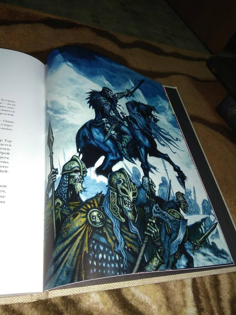Иллюстрация 23 из 84 для Северные боги - Юхан Эгеркранс | Лабиринт - книги. Источник: Гришко Елена