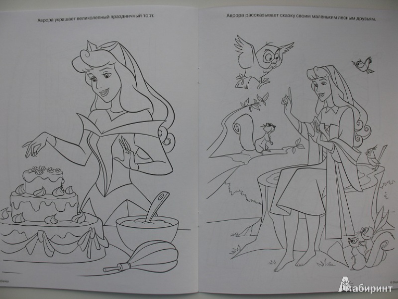 Иллюстрация 7 из 7 для Волшебная раскраска. Принцессы (№13170) | Лабиринт - книги. Источник: ЕленкаС