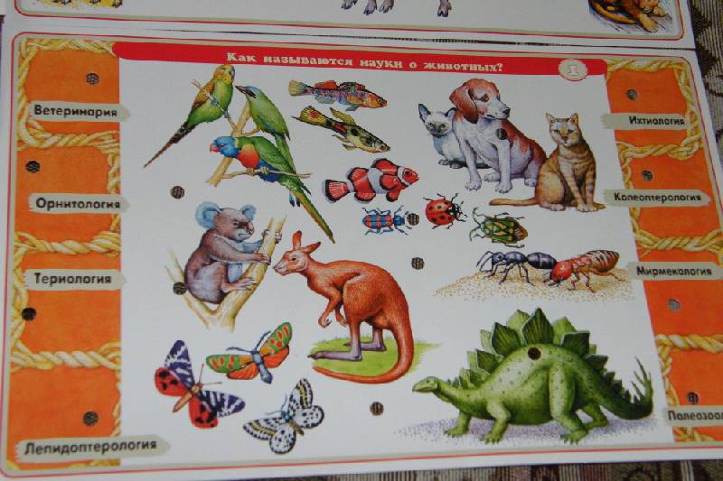 Иллюстрация 13 из 25 для Электровикторина: "Детям о животных" | Лабиринт - игрушки. Источник: woley