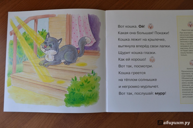 Иллюстрация 3 из 18 для Мур, мур, мяу! Для детей от 2-х лет - И. Мальцева | Лабиринт - книги. Источник: juli_pani