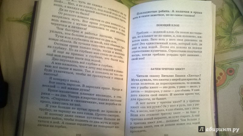 Иллюстрация 22 из 46 для Лесные тайнички - Николай Сладков | Лабиринт - книги. Источник: Малахова  Алиса Анатольевна