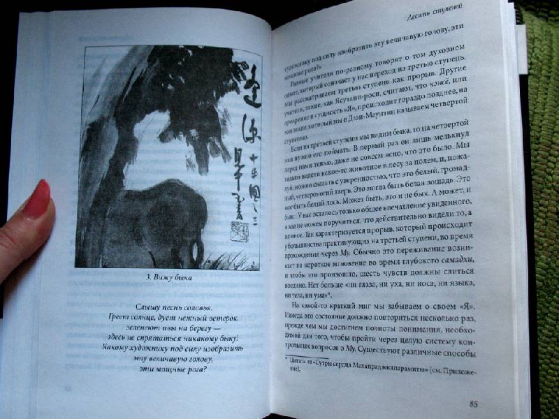 Иллюстрация 11 из 14 для Восемь Врат Дзэн: Программа практики дзэн - Джон Лури | Лабиринт - книги. Источник: Angostura