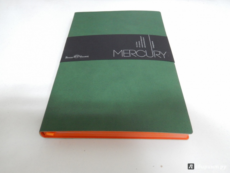 Иллюстрация 1 из 9 для Ежедневник недатированный "Mercury" (А5, зеленый) (3-435/03) | Лабиринт - канцтовы. Источник: dbyyb