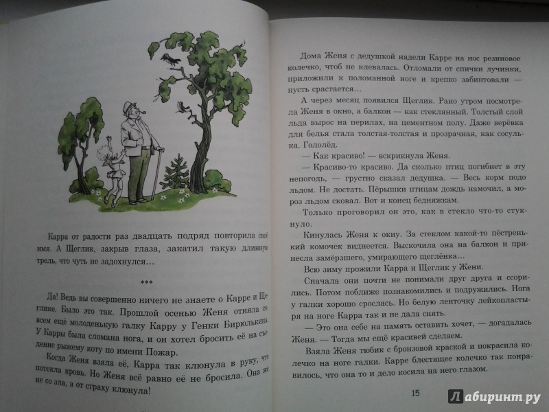 Иллюстрация 20 из 64 для Восемь волшебных желудей, или Приключения Желудино и его младших братьев - Юрий Дьяконов | Лабиринт - книги. Источник: Olga