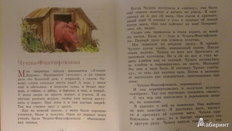 Иллюстрация 9 из 35 для Мои звери - Владимир Дуров | Лабиринт - книги. Источник: Katty