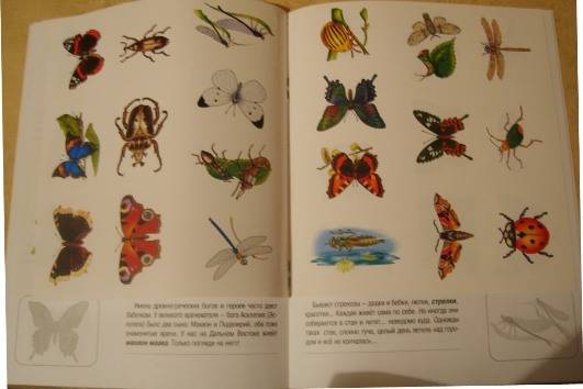 Иллюстрация 2 из 16 для Бабочки. Книжка с наклейками - Инна Гамазкова | Лабиринт - книги. Источник: Tatka