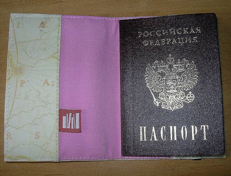 Иллюстрация 4 из 9 для Обложка для паспорта (Ps 1.102) | Лабиринт - канцтовы. Источник: Валерия