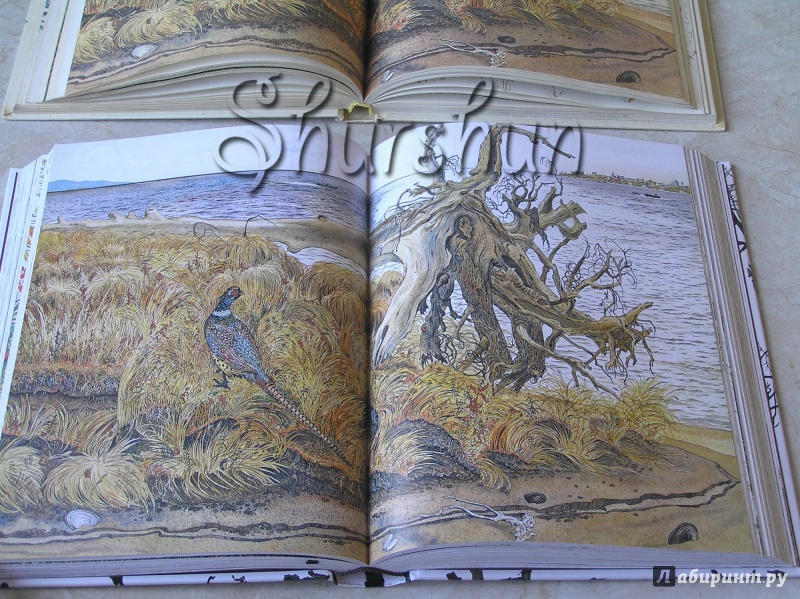Иллюстрация 29 из 154 для Золотая Ригма - Всеволод Сысоев | Лабиринт - книги. Источник: Shurshun