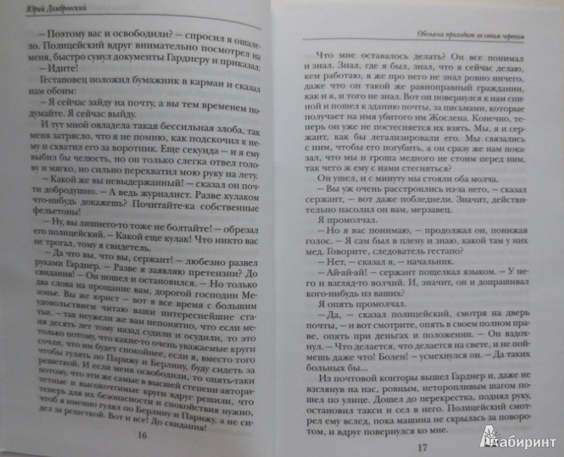 Иллюстрация 18 из 22 для Обезьяна приходит за своим черепом - Юрий Домбровский | Лабиринт - книги. Источник: Большой любитель книг