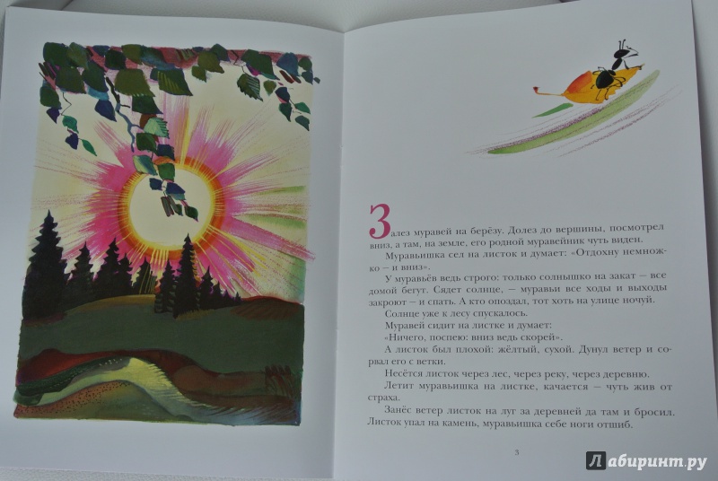 Иллюстрация 14 из 59 для Как муравьишка домой спешил - Виталий Бианки | Лабиринт - книги. Источник: adsveta
