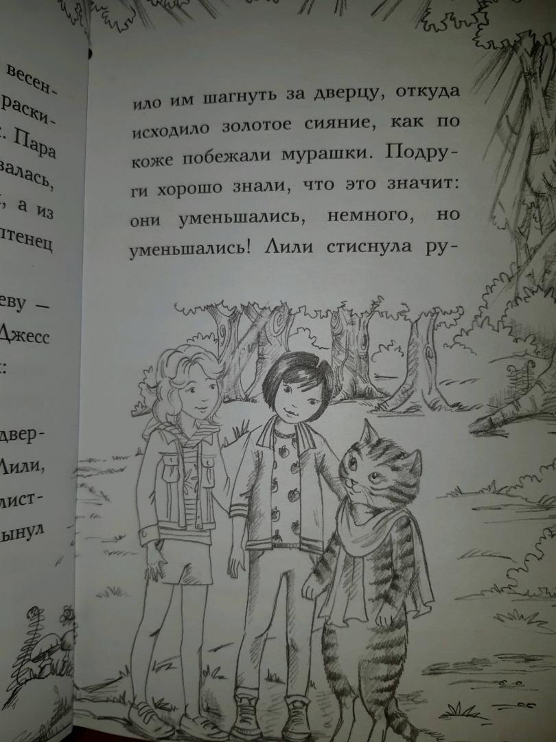 Иллюстрация 9 из 23 для Крольчонок Пиппа, или Алмазный молоточек - Дейзи Медоус | Лабиринт - книги. Источник: Mamulechka