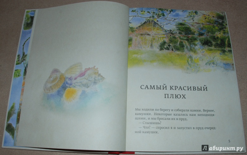Иллюстрация 28 из 37 для Огонек в золотой шапочке - Дмитрий Шеваров | Лабиринт - книги. Источник: Книжный кот