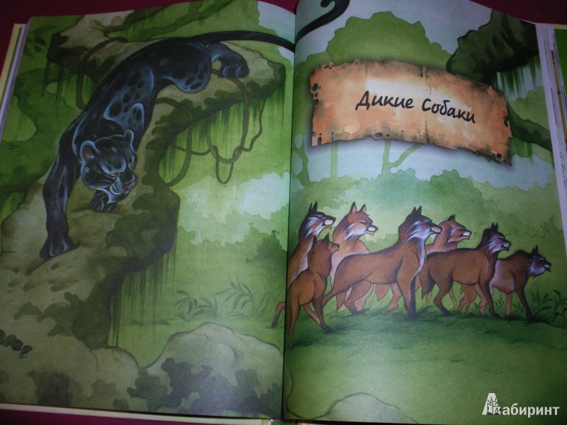 Иллюстрация 15 из 22 для Маугли - Редьярд Киплинг | Лабиринт - книги. Источник: Tiger.