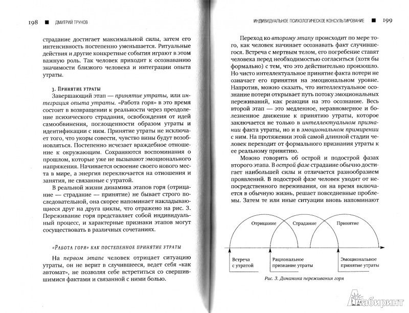 Иллюстрация 12 из 29 для Индивидуальное психологическое консультирование - Дмитрий Трунов | Лабиринт - книги. Источник: calligraph