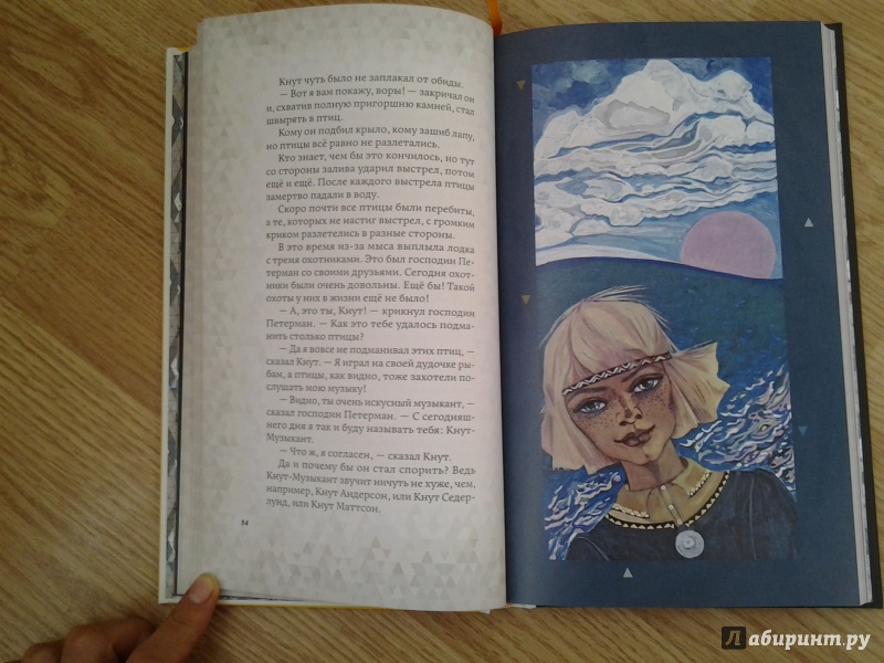 Иллюстрация 68 из 153 для Сказки - Сакариас Топелиус | Лабиринт - книги. Источник: Olga